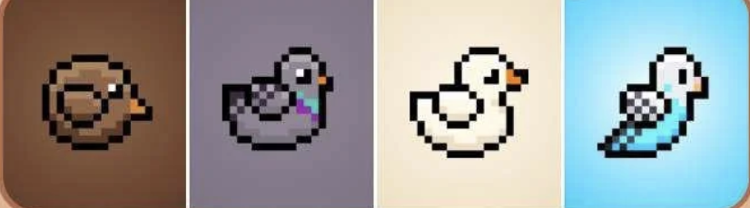 BIRD Daily Combo 26 May 2025